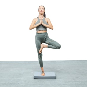 2909 Balance Pad (3)