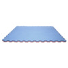 9205 tatami eva rosso blu 2 cm (1)_