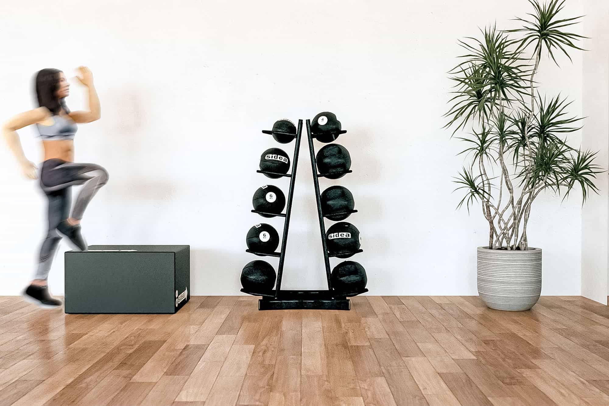 0499_1 - MED BALL RACK - 2