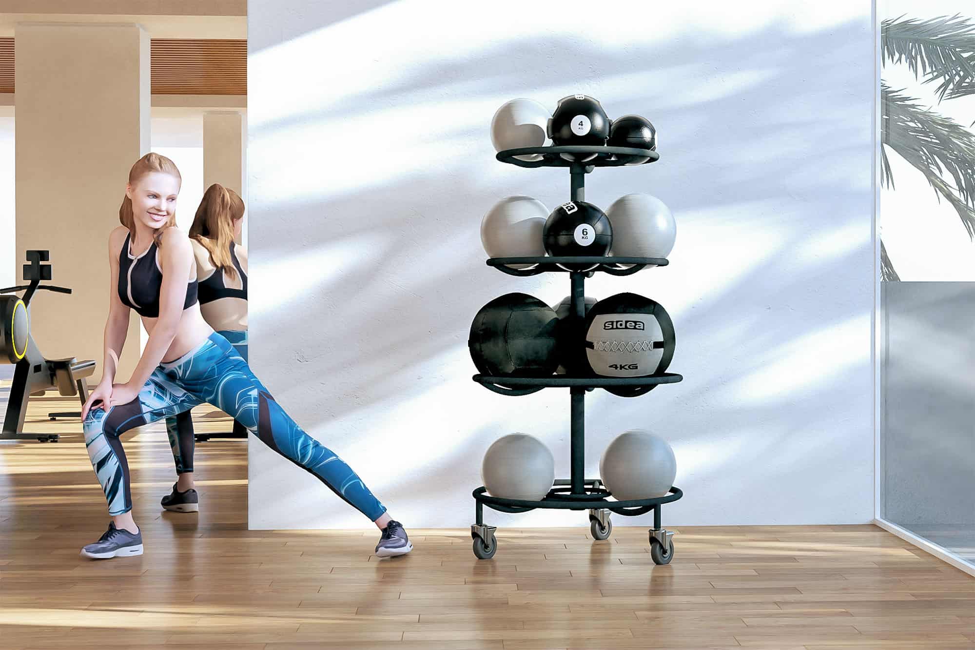 0510 - GIANT MED BALL RACK - 2