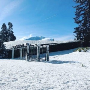 Clinique La Prairie, Montreux (CH)