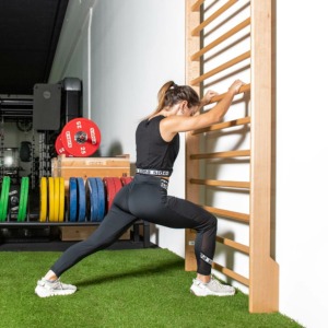 9100 spalliera svedese